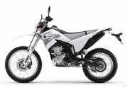 Yamaha WR250R